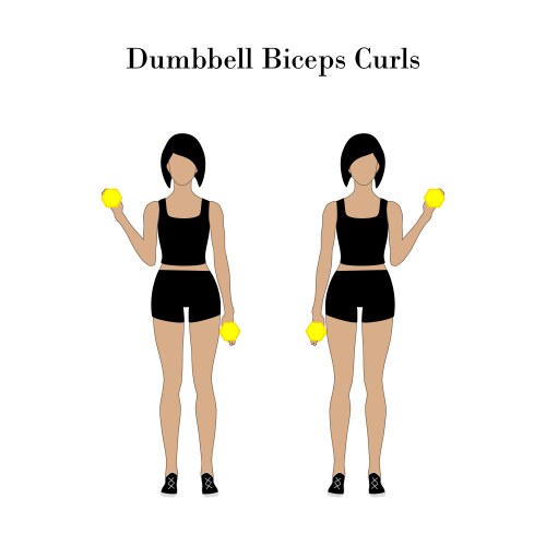 Basic rgbwoman doing dumbbell bicep curls Vector Image
