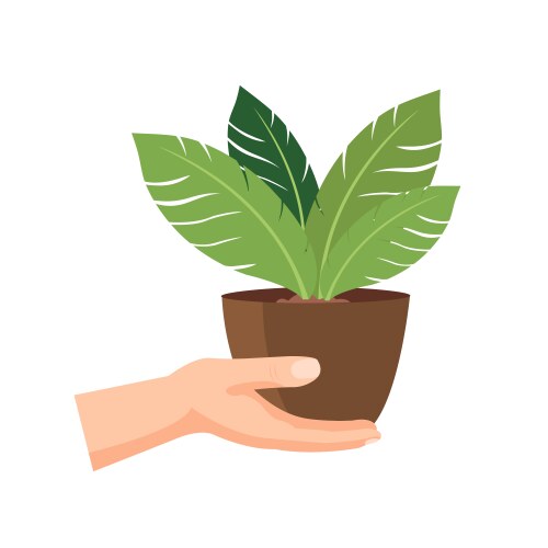 Hand holding plant pot set Royalty Free Vector Image
