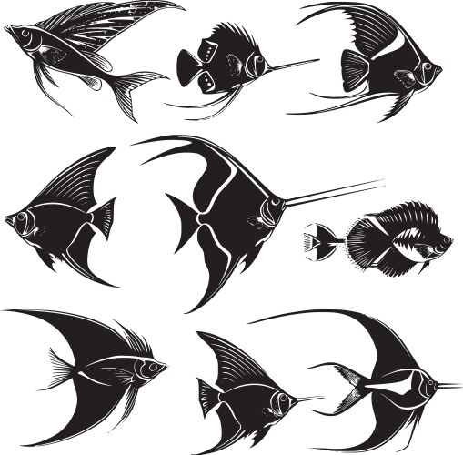 Fish Vector Solid Fish Royalty Free Vector Image - VectorStock