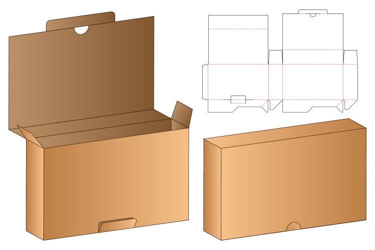 Cardboard Box Die Cut Template Vector Image