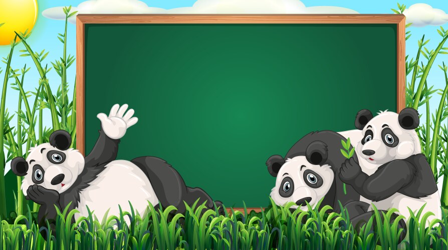Board design with three pandas on grass vector image