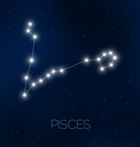 pisces constellation vector