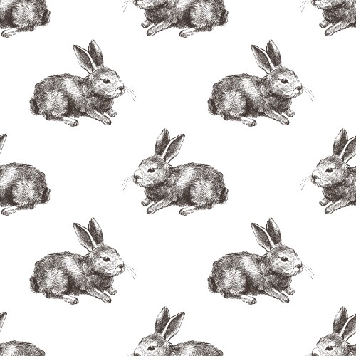 Seamless pattern with hand drawn jack russel Vector Image