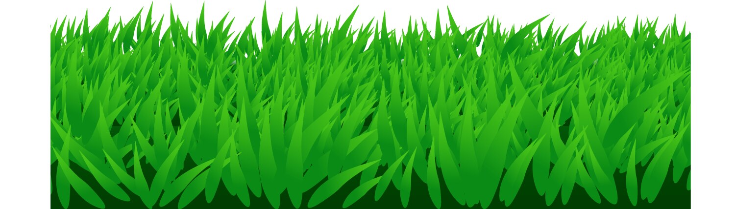 Fresh green grass border isolated on white Vector Image