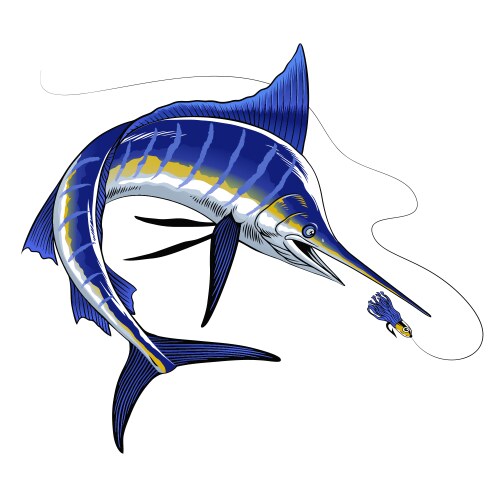 Blue Marlin Fishing Vector Image