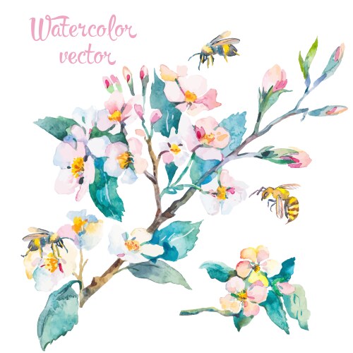 Spring Blossoming Branch Watercolor Vector Image