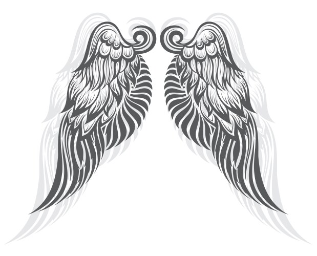 Two angel wings template Royalty Free Vector Image