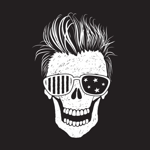 Skull with American Flag Style Vector Image