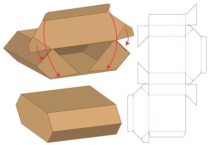 Box packaging die cut template design 3d mock-up vector image