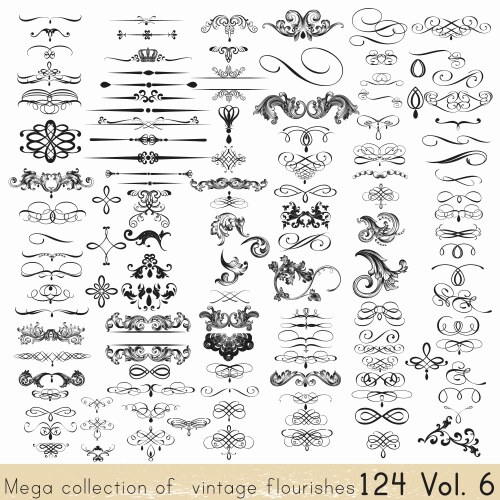Calligraphic Flourishes & Ornaments Vector Image