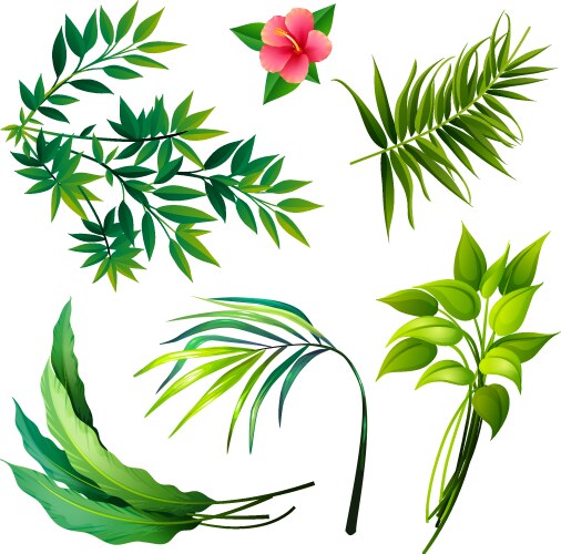 Set tropical leaves icons isolated on white Vector Image