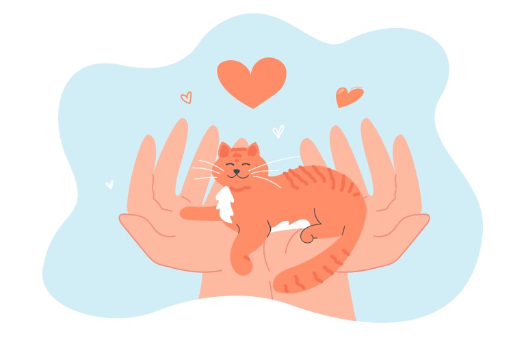 tiny cat in human hands flat vector