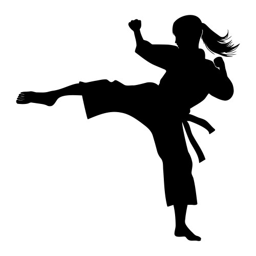Karate Fighter Silhouette Vector Image
