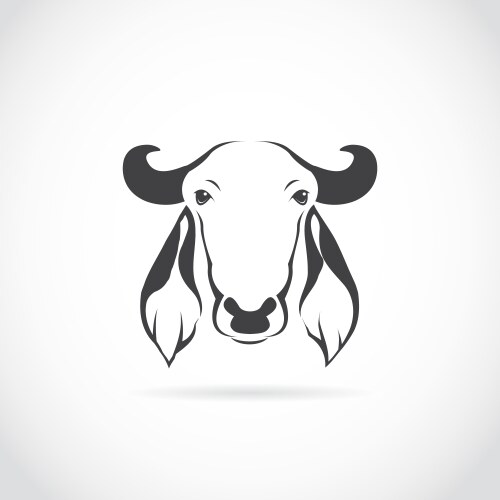 image of cow head vector image