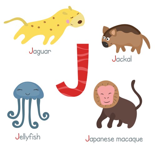 Cute Zoo Animals Alphabet Vector Image