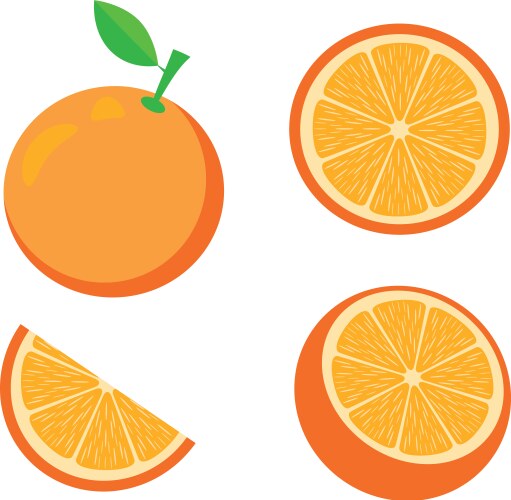 Orange slice clipping path isolated on white Vector Image