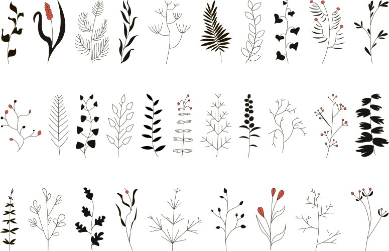 Sprigs collection Vector Image