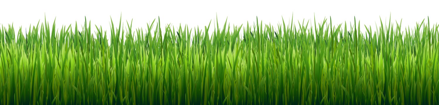 Green grass border Royalty Free Vector Image - VectorStock