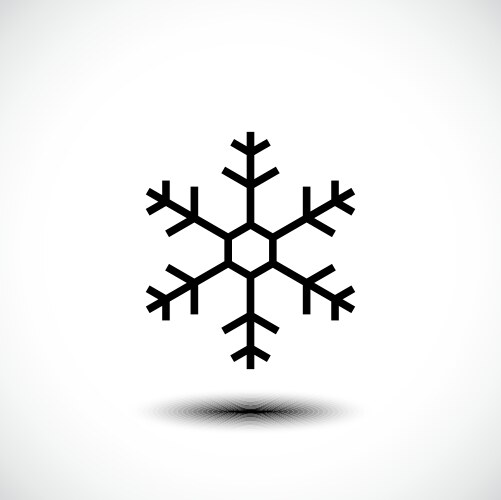 Snow flake icon vector image