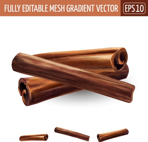 Realistic cinnamon sticks set Royalty Free Vector Image
