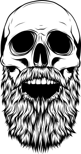 silhouette human skull with beard vector image