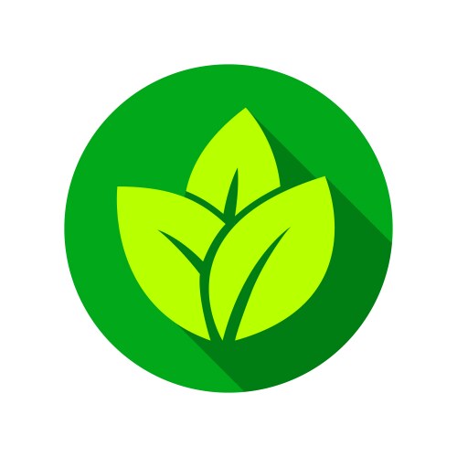 Spinach leaves icon cartoon style Royalty Free Vector Image