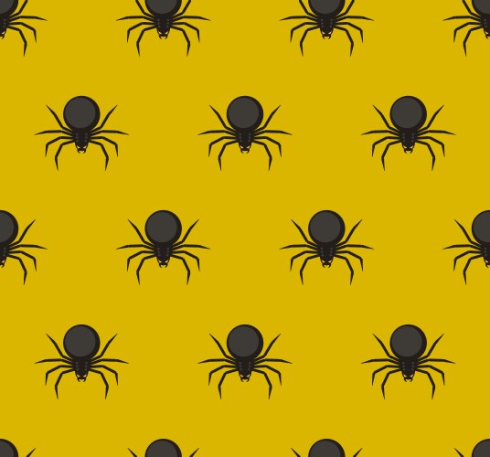 Spiders pattern vector image