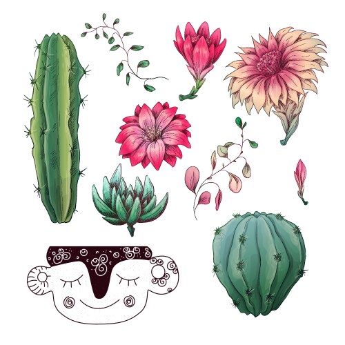 Cactus & Succulent Badge Set Vector Image