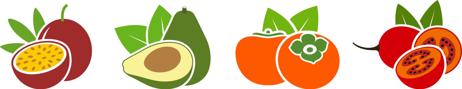 Passion fruit Royalty Free Vector Image - VectorStock