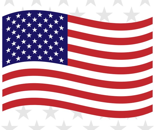 Stars and Stripes Patriotic Background Vector Image