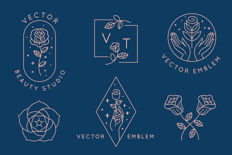 Logo design template and in linear style Vector Image