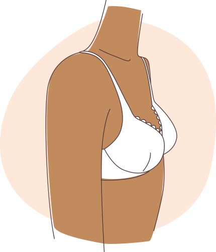 Puberty teenage girl and breast development vector image