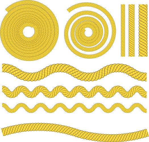 Classic Ropes Vector Rope Royalty Free Vector Image - VectorStock