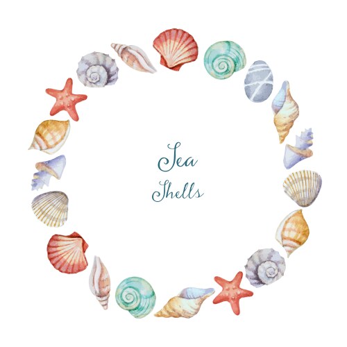 Sea shells square frame seashells border template Vector Image