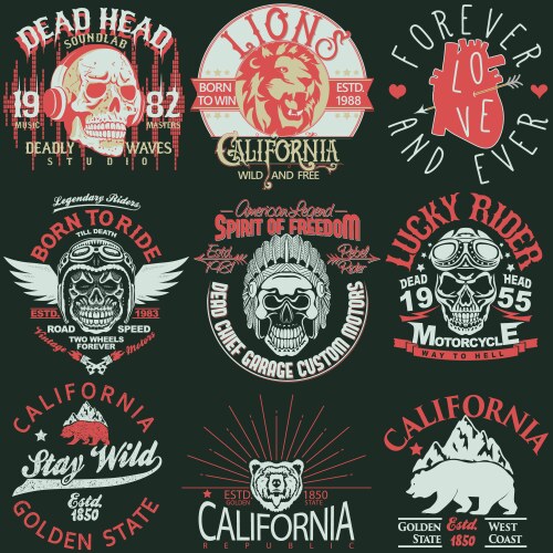 California Sportswear Skull Stamp Tee Vector Image