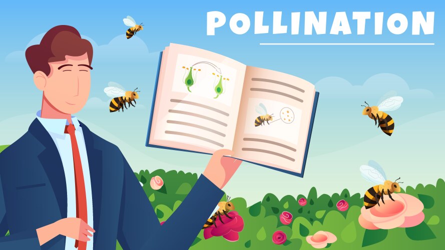 Bee Pollination Vector Images (over 3,400)