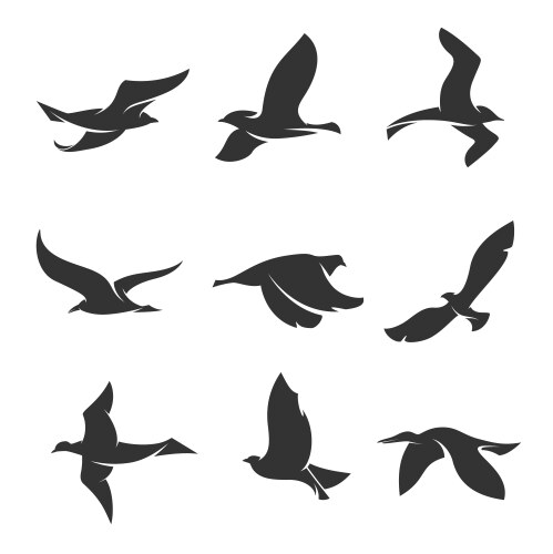 Set silhouettes birds in motion on a white Vector Image