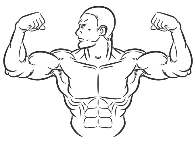 sketch bodybuilder flexing bulky arm muscles vector