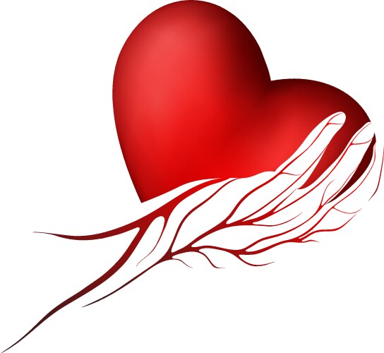 heart logo vector image vector image