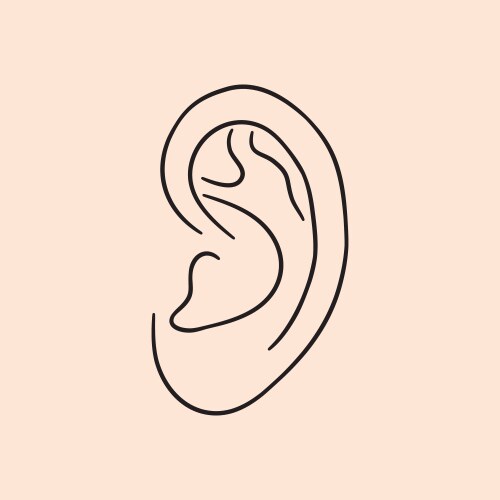 Human ear Royalty Free Vector Image - VectorStock