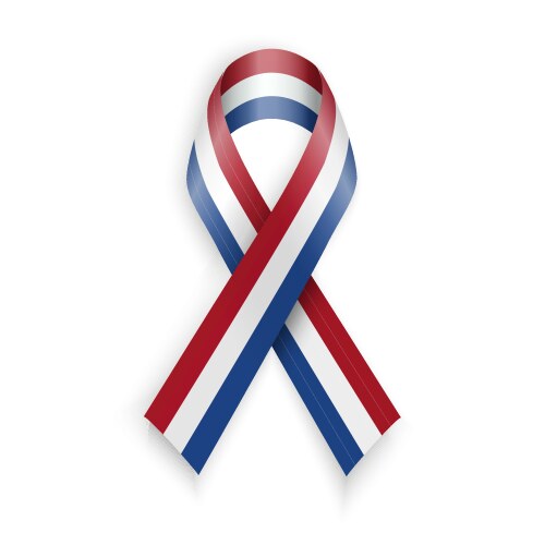 Netherlands Flag Ribbon Vector Image