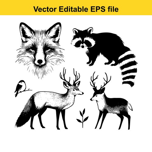 Black and White Animal Set Vector Image