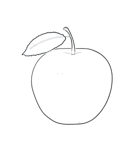 Blank apple for coloring book vector image