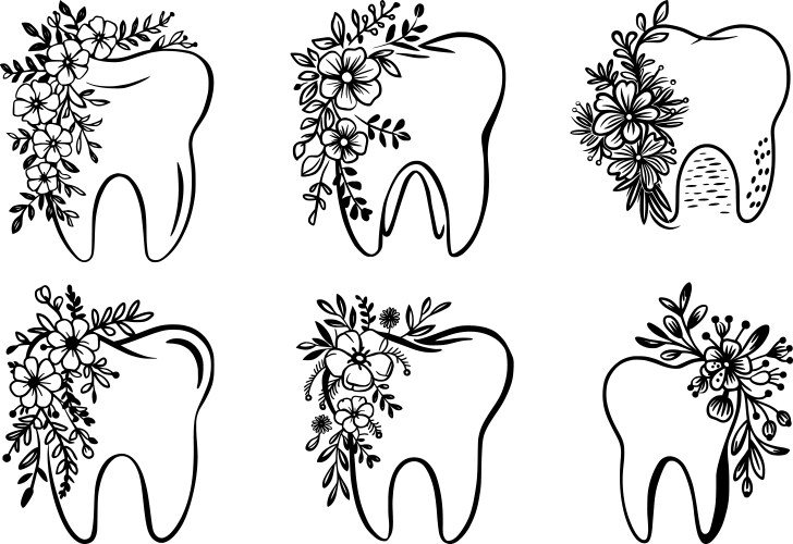 Floral tooth svg bundle Vector Image