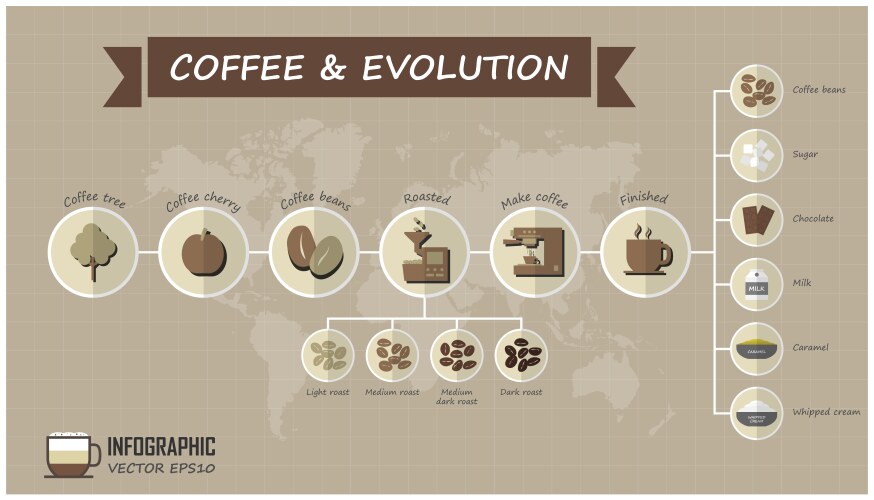 Coffee Evolution Infographic Vector Image