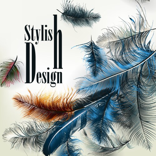 Feathers set Royalty Free Vector Image - VectorStock