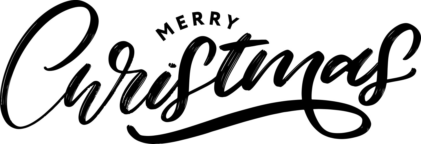 banner merry christmas holiday new year letter vector image