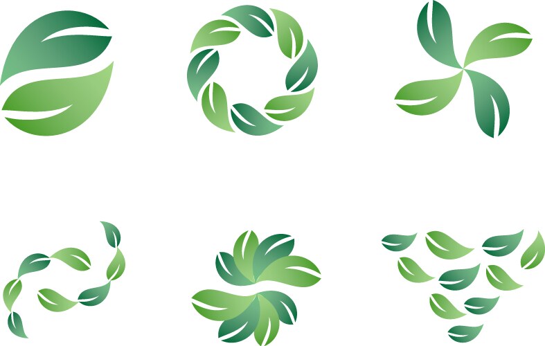 Green leaf Royalty Free Vector Image - VectorStock