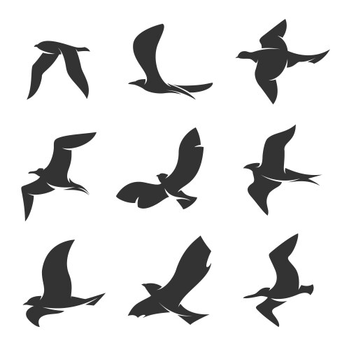 Set silhouettes birds in motion on a white Vector Image