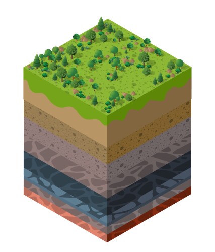 forest natural landscape soil layers geological vector image